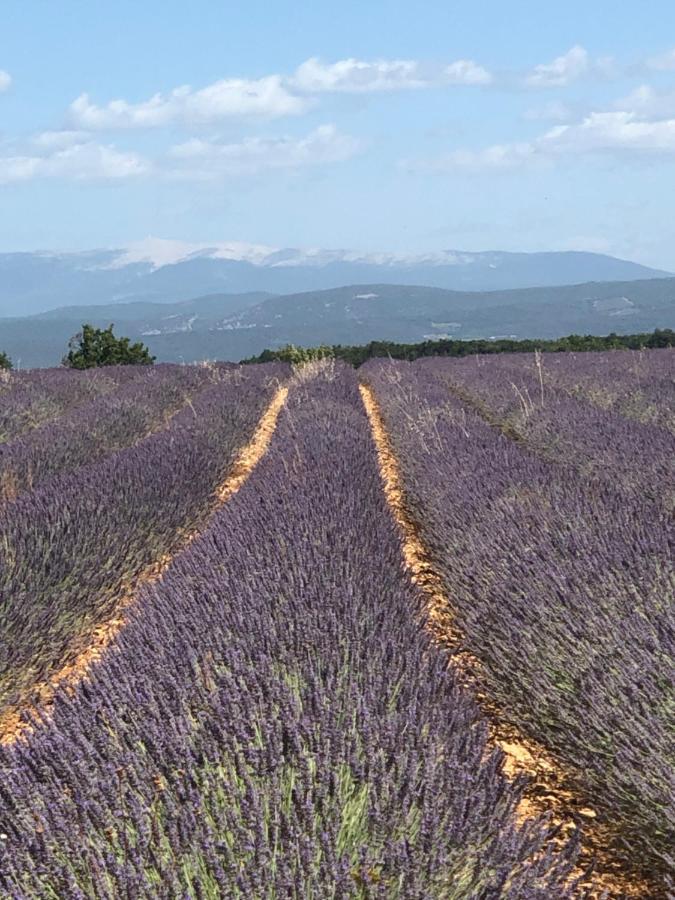 Provence Luberon Bonnieux Location Gite Chez Basile Экстерьер фото